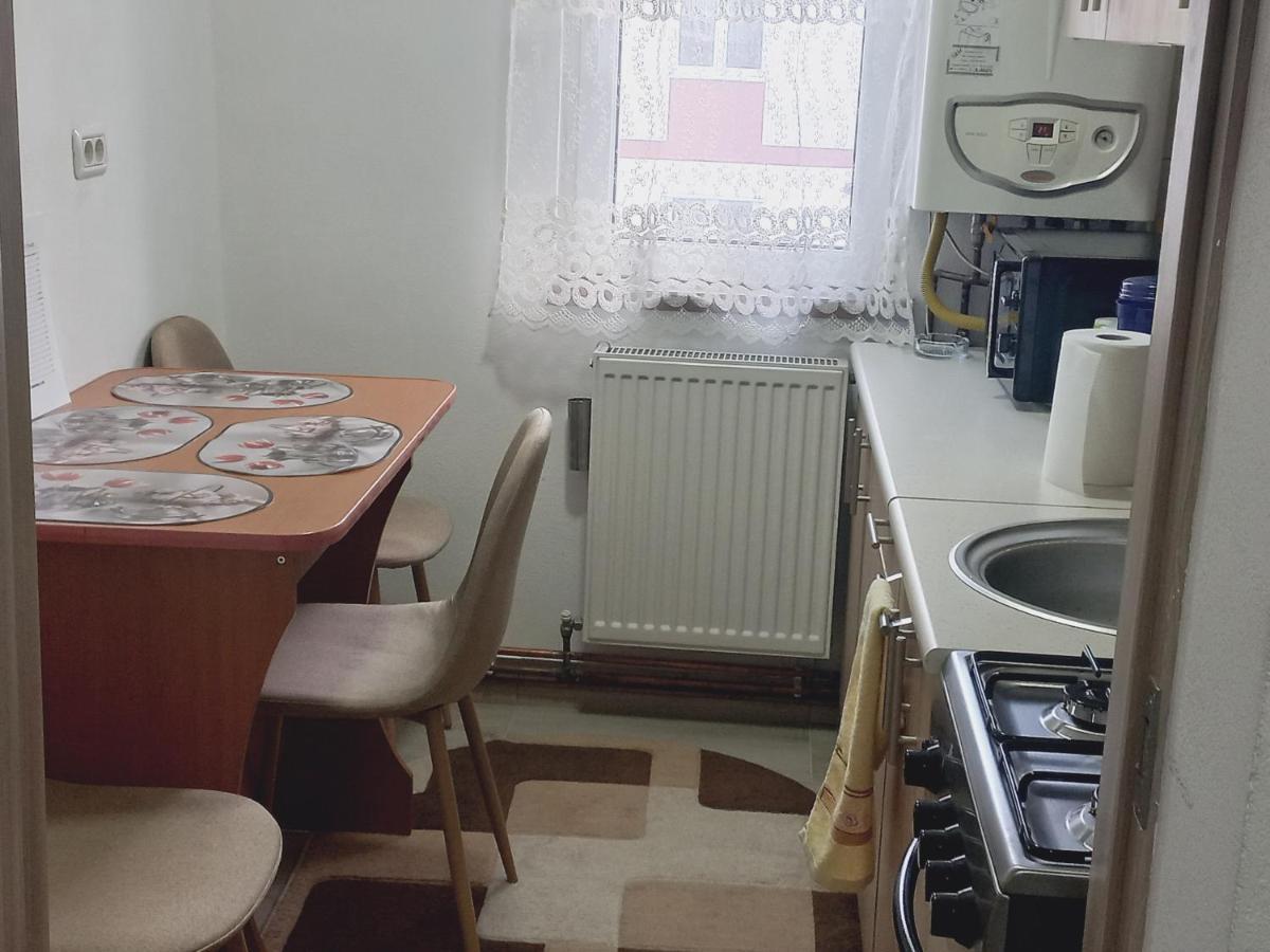 Apartament Bianca Câmpulung Moldovenesc Eksteriør bilde