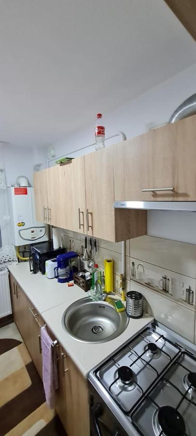 Apartament Bianca Câmpulung Moldovenesc Eksteriør bilde