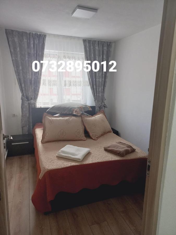 Apartament Bianca Câmpulung Moldovenesc Eksteriør bilde