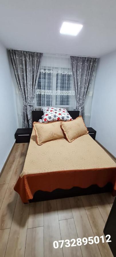 Apartament Bianca Câmpulung Moldovenesc Eksteriør bilde
